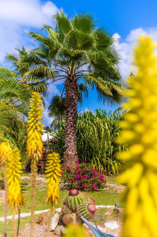 Orient Bay Palm Court Residence 4 Stars Quarter of Orleans Exteriér fotografie